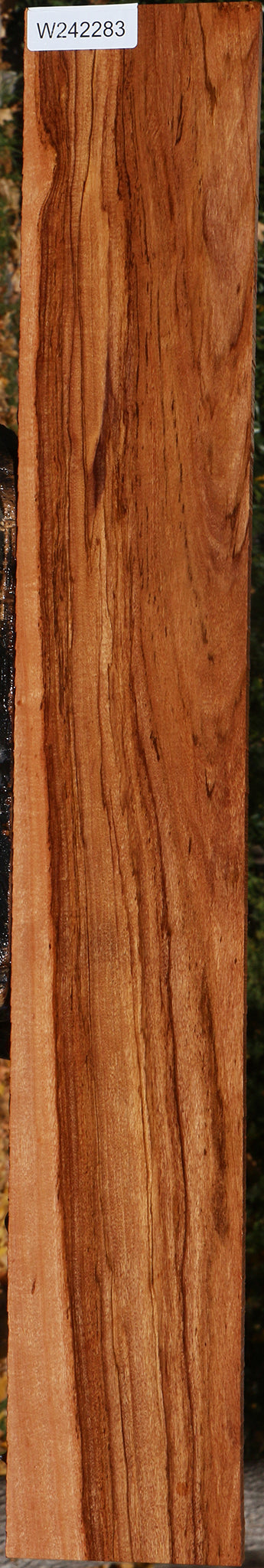 Zambezi Teak Lumber