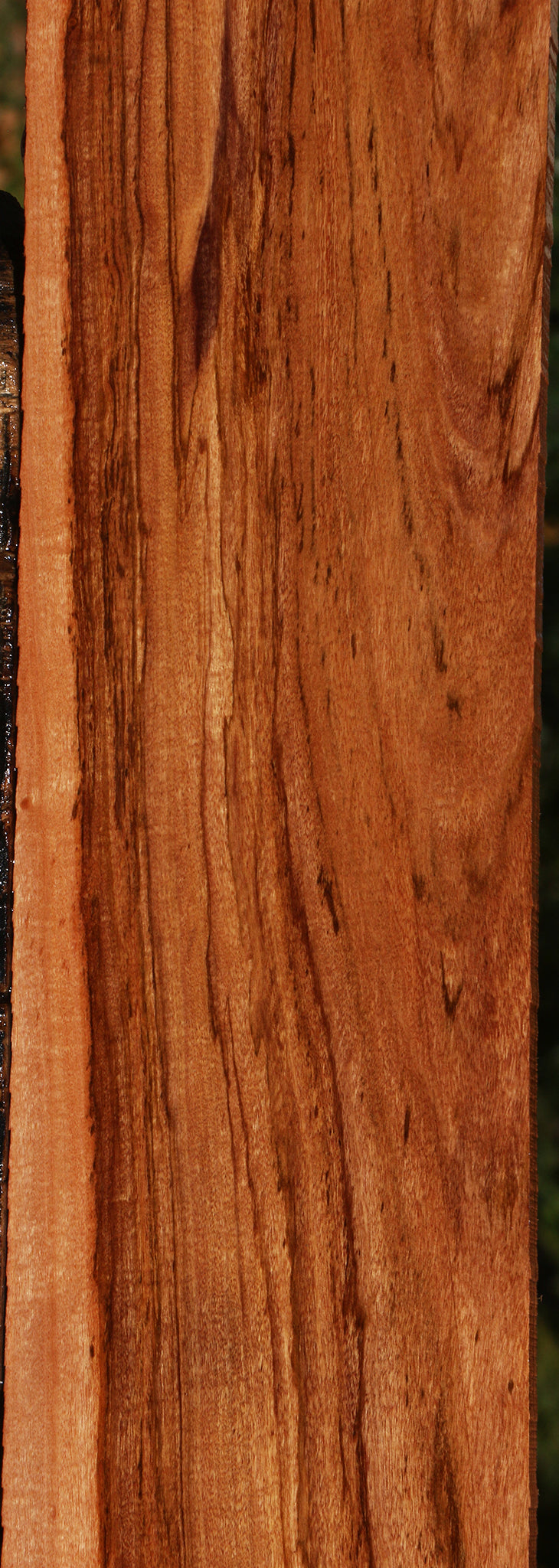 Zambezi Teak Lumber