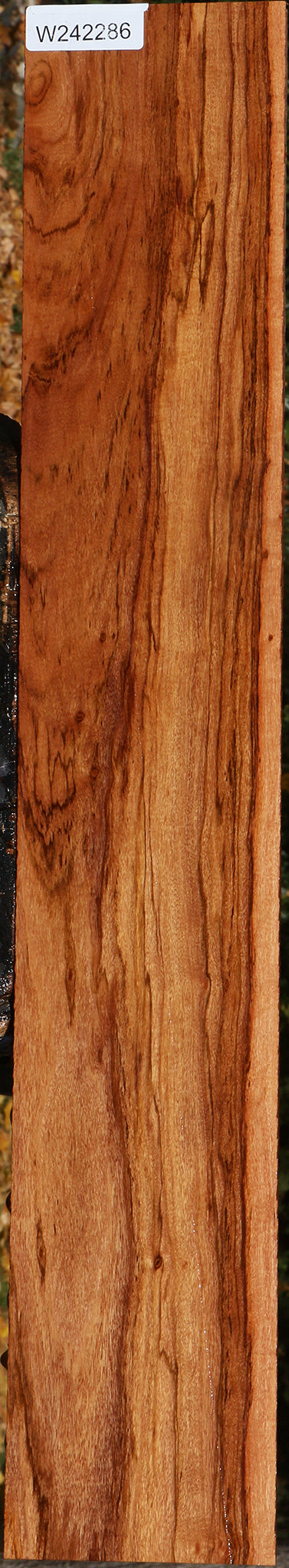 Zambezi Teak Lumber