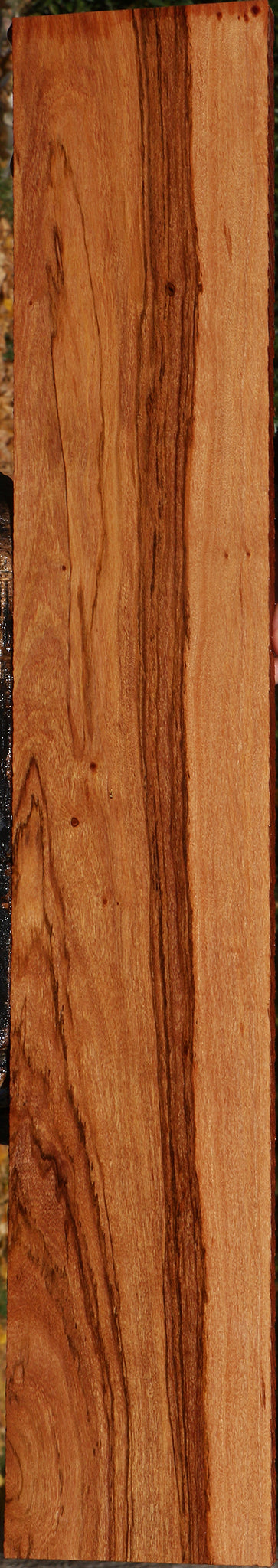 Zambezi Teak Lumber