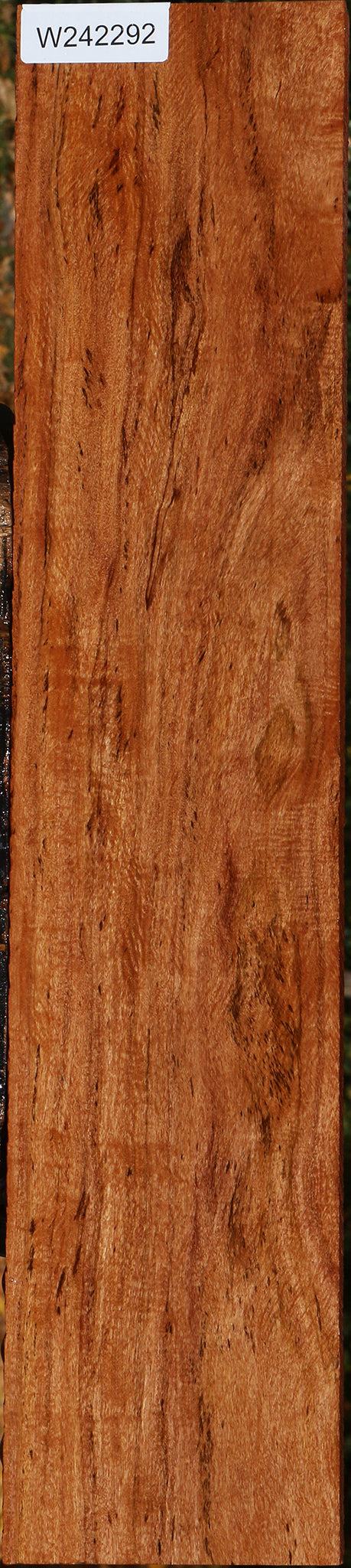 Extra Fancy Zambezi Teak Lumber