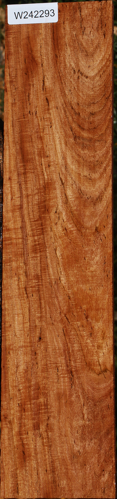 Extra Fancy Zambezi Teak Lumber