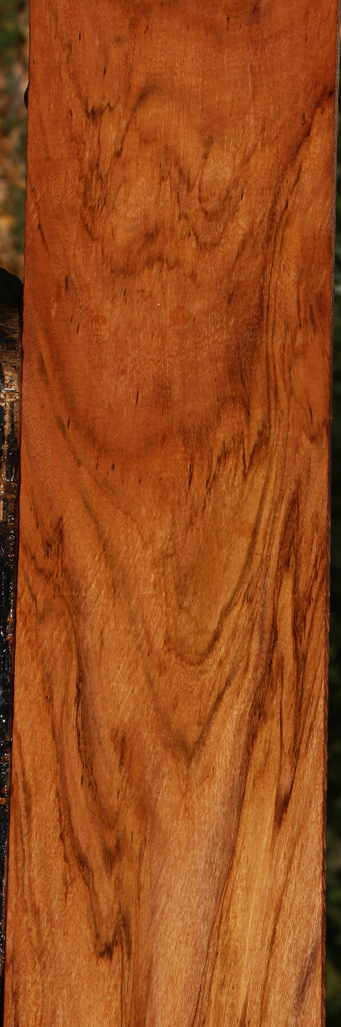 Figured Zambezi Teak Lumber