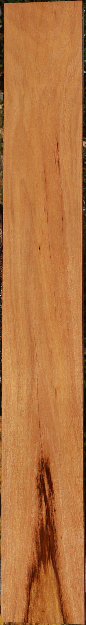 Zambezi Teak Lumber