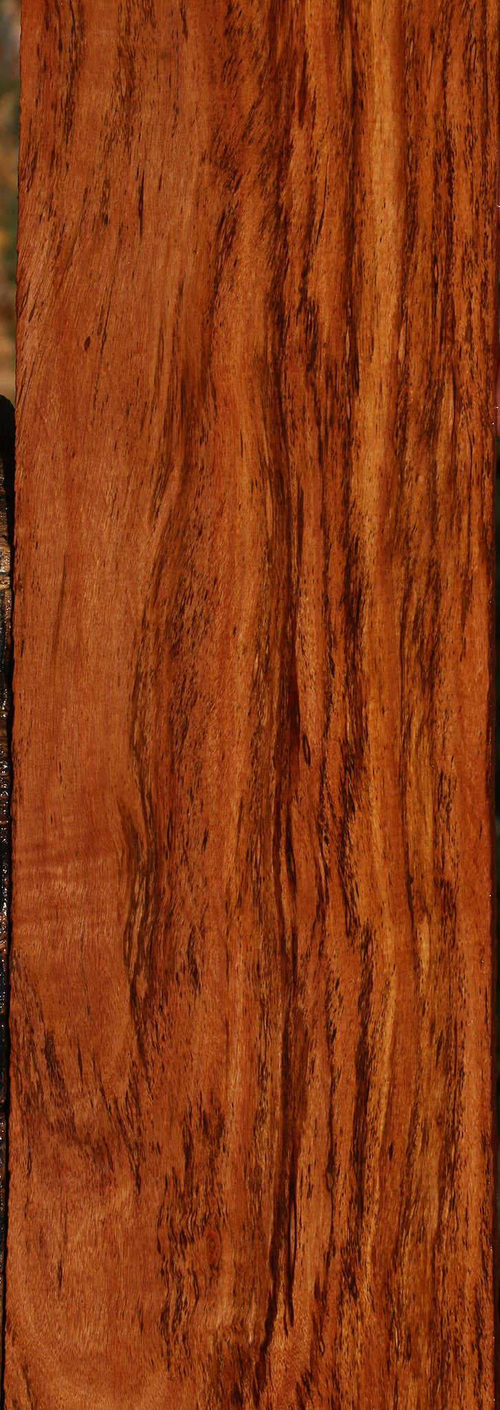 Figured Zambezi Teak Lumber