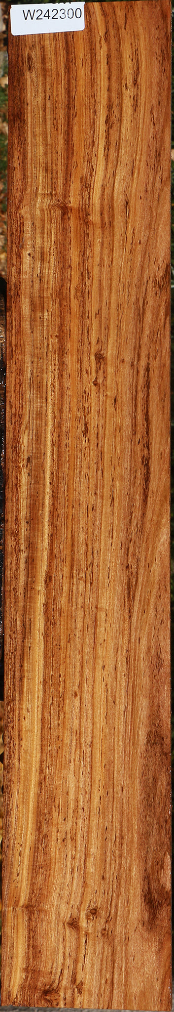 Figured Zambezi Teak Lumber