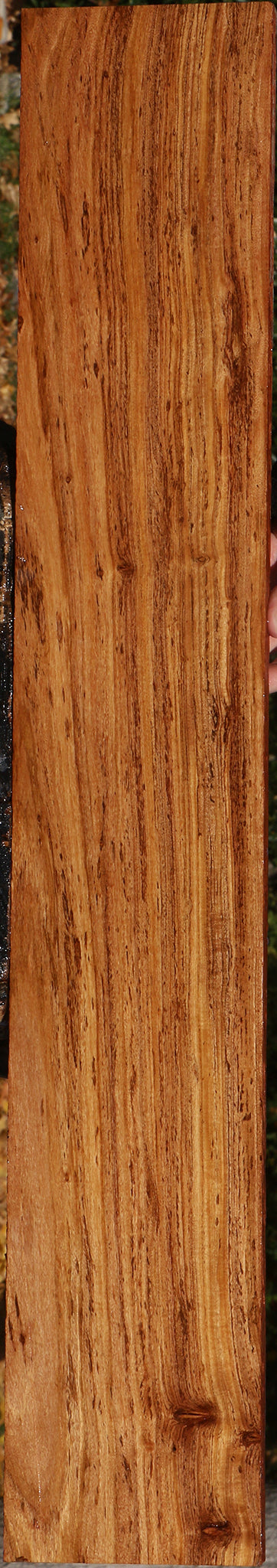 Figured Zambezi Teak Lumber