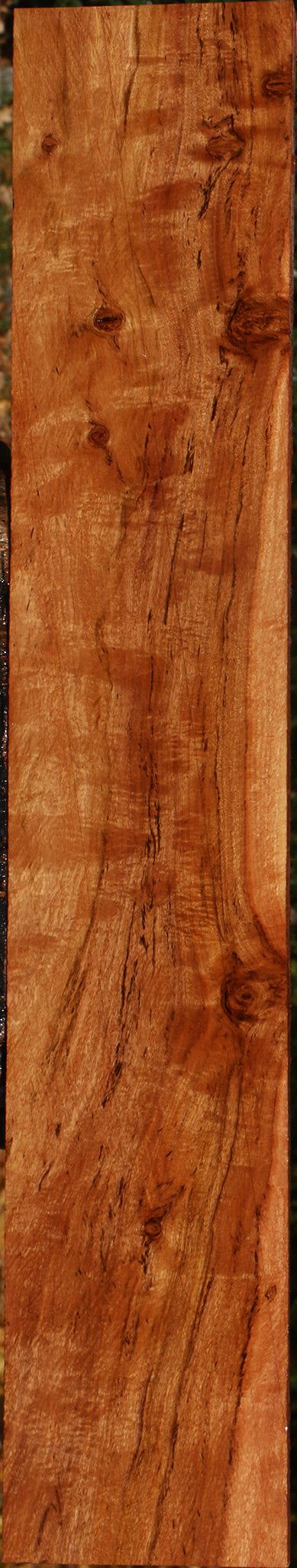 Extra Fancy Zambezi Teak Lumber