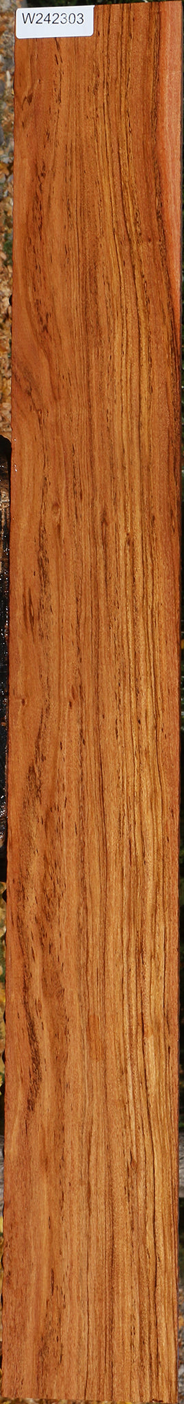 Zambezi Teak Lumber