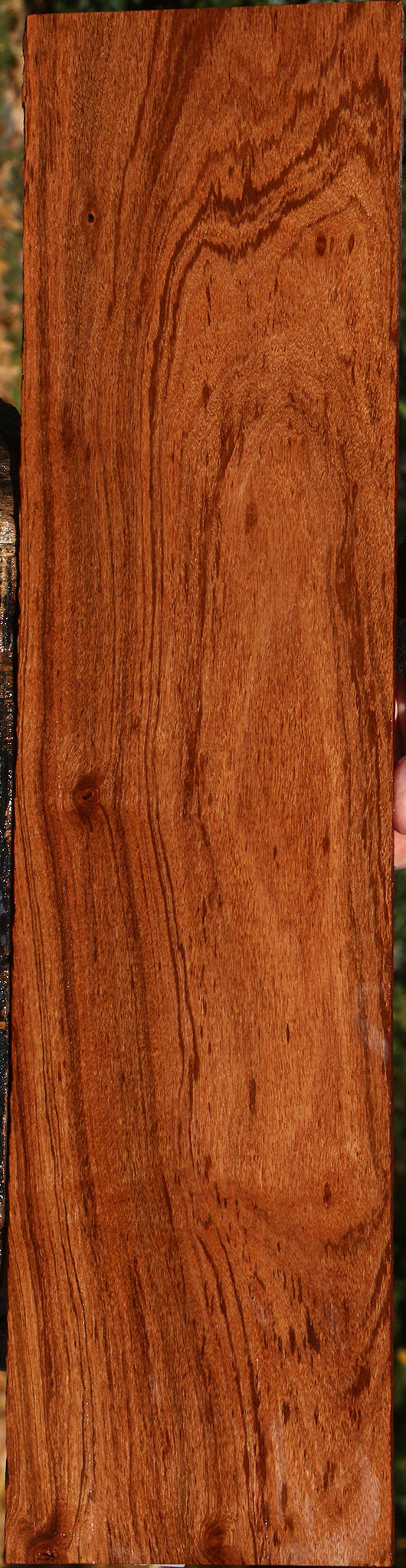 Zambezi Teak Lumber