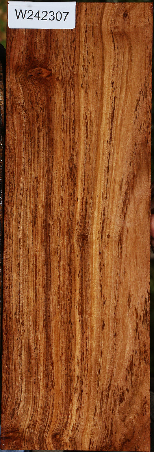Zambezi Teak Lumber