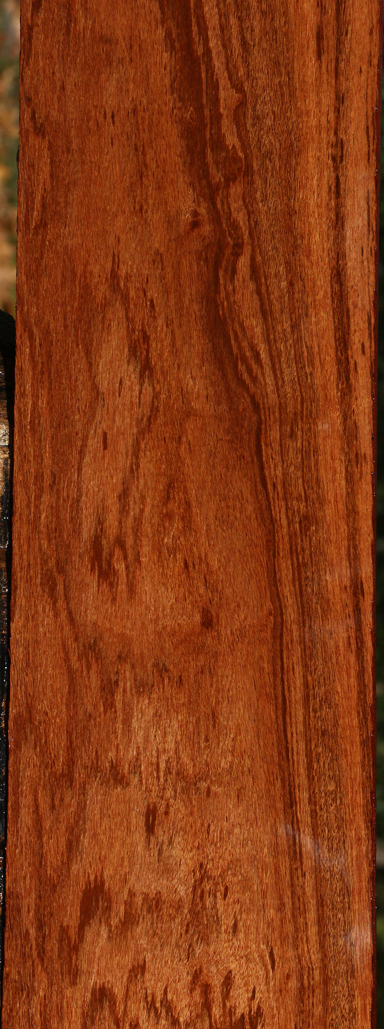 Figured Zambezi Teak Lumber