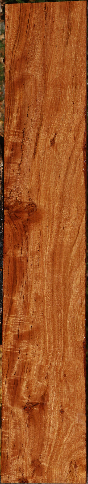 Extra Fancy Zambezi Teak Lumber