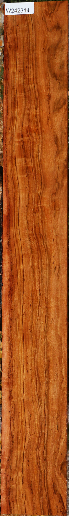 Extra Fancy Zambezi Teak Lumber