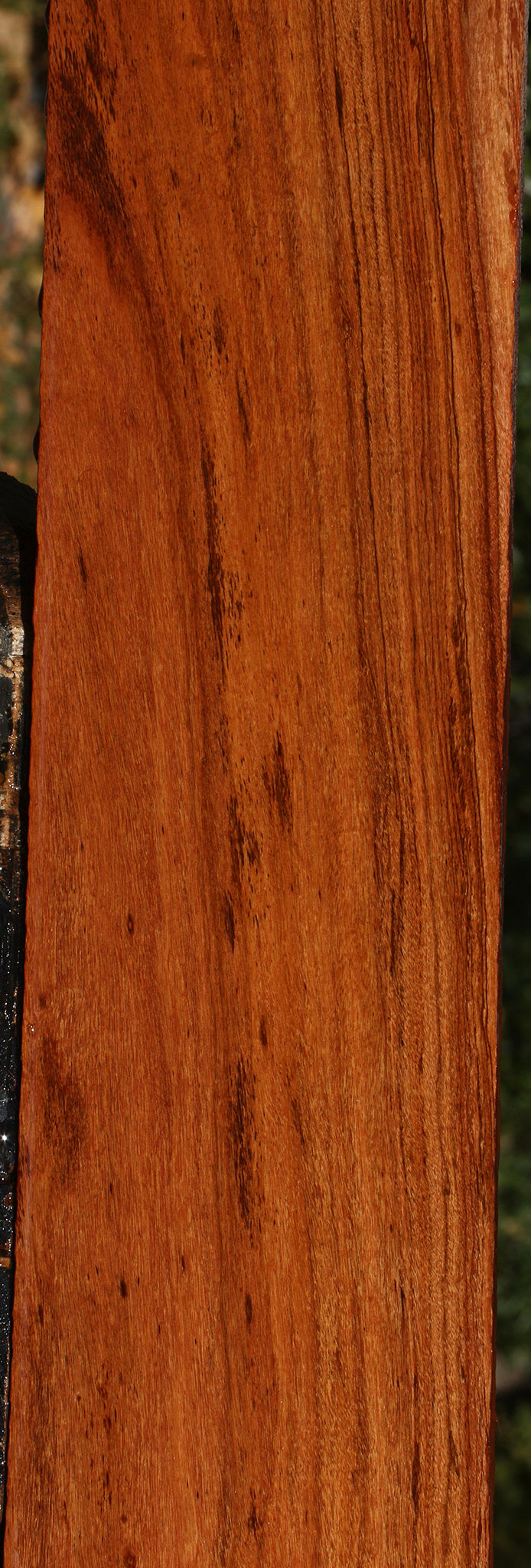 Figured Zambezi Teak Lumber