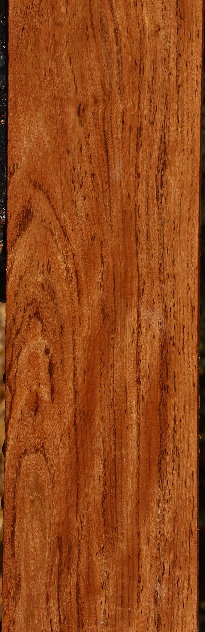Zambezi Teak Lumber