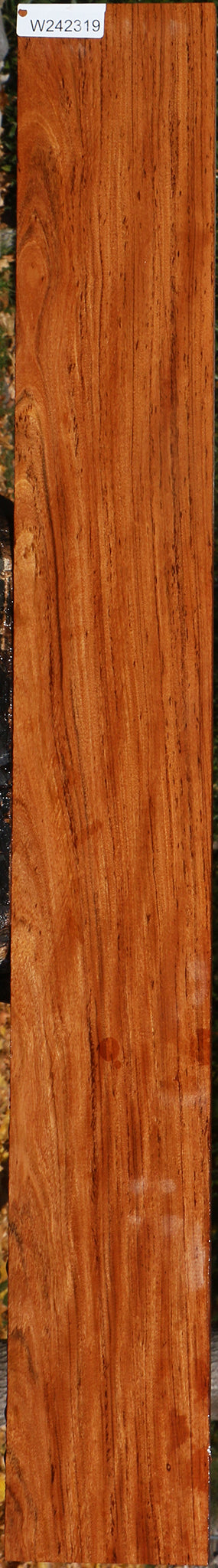 Zambezi Teak Lumber