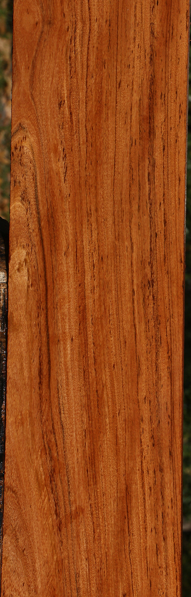 Zambezi Teak Lumber