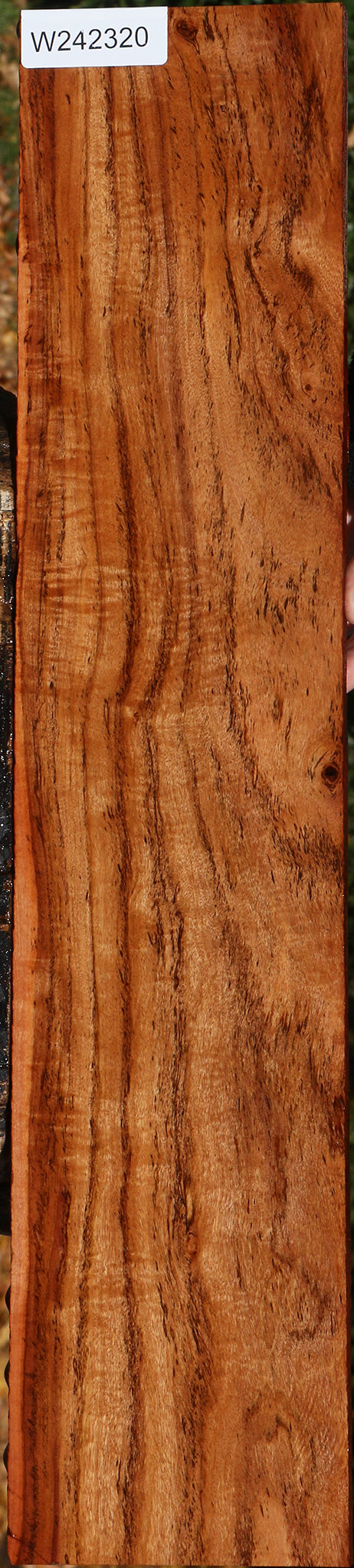 Figured Zambezi Teak Lumber