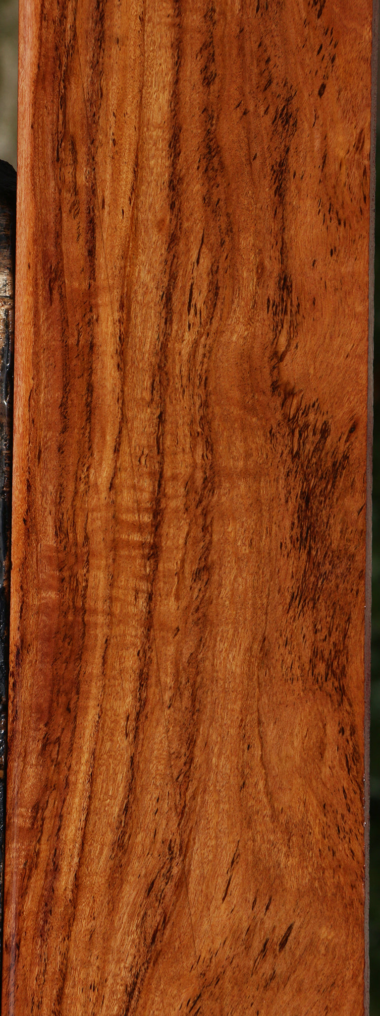 Extra Fancy Zambezi Teak Lumber
