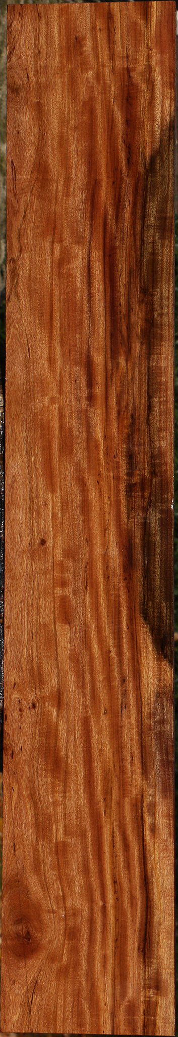 Extra Fancy Zambezi Teak Lumber