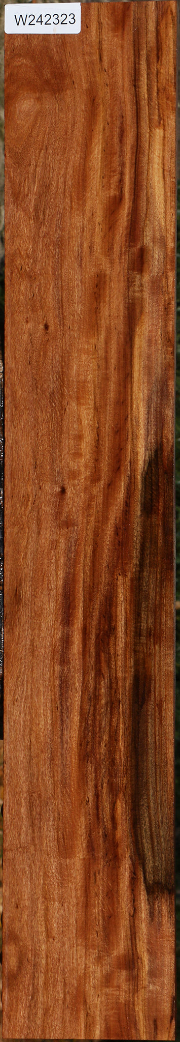 Extra Fancy Zambezi Teak Lumber