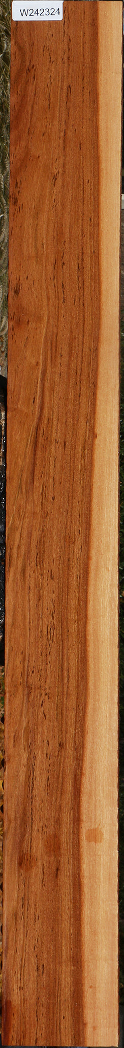Zambezi Teak Lumber
