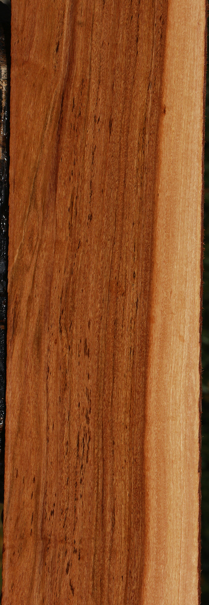 Zambezi Teak Lumber