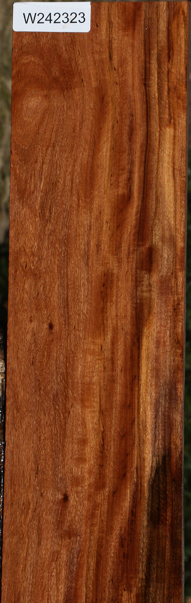 Zambezi Teak Lumber