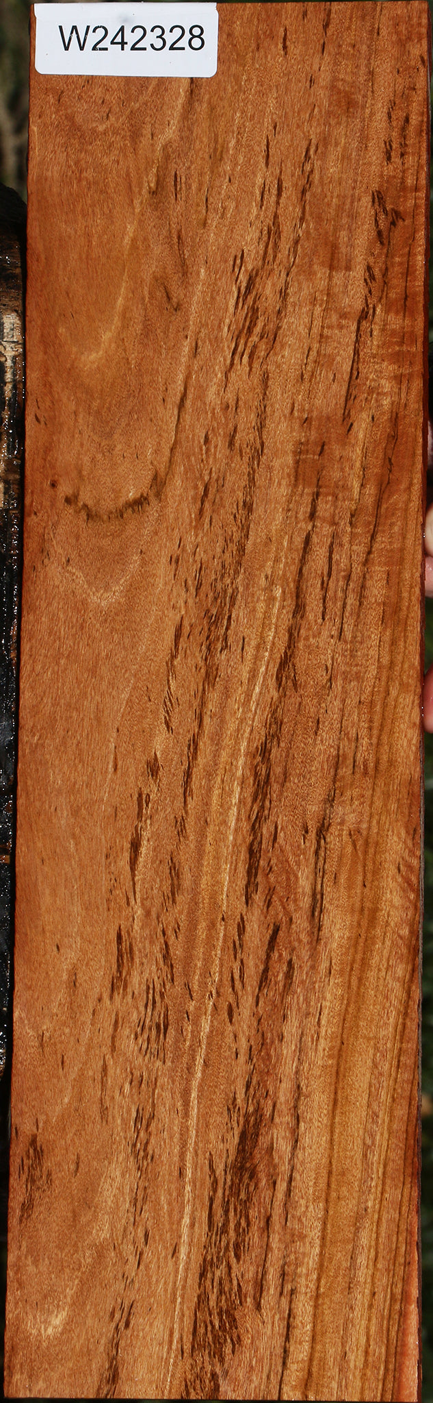 Figured Zambezi Teak Lumber
