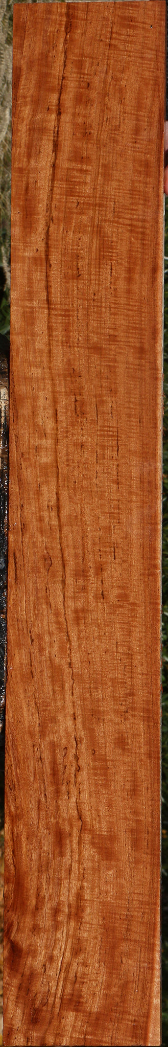 Extra Fancy Zambezi Teak Lumber