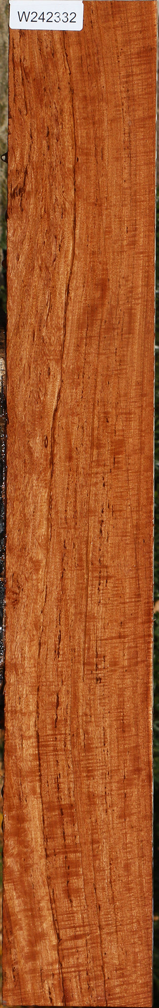Extra Fancy Zambezi Teak Lumber