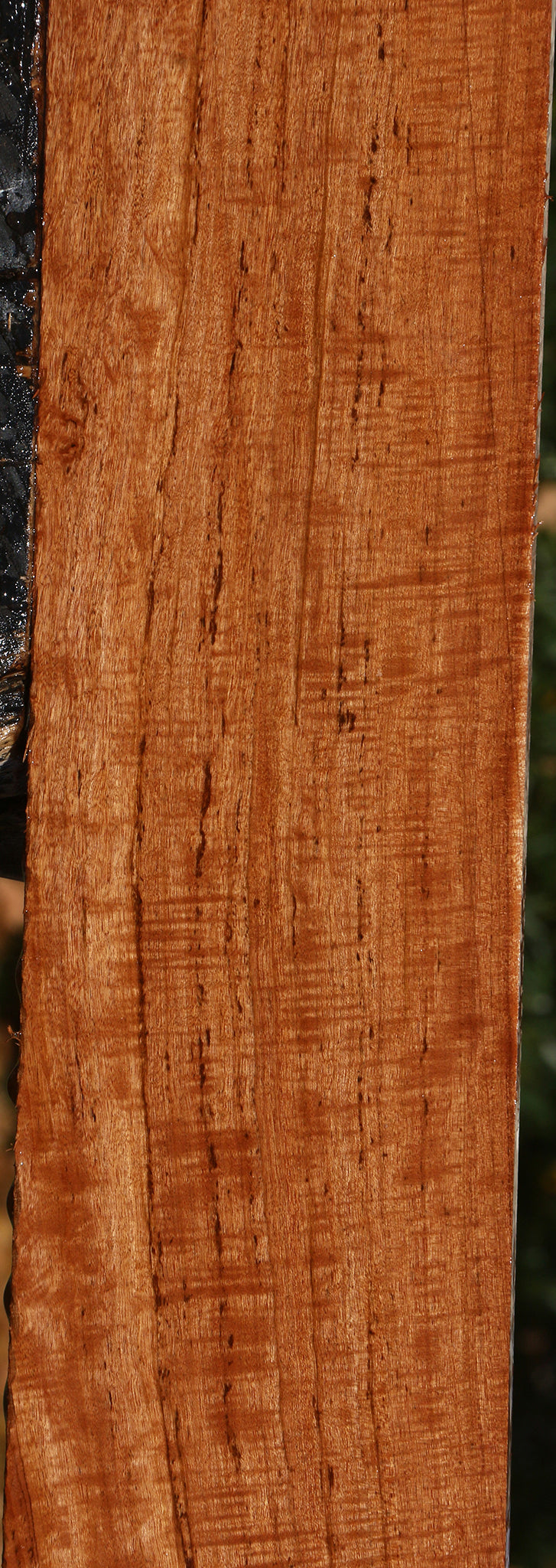 Extra Fancy Zambezi Teak Lumber