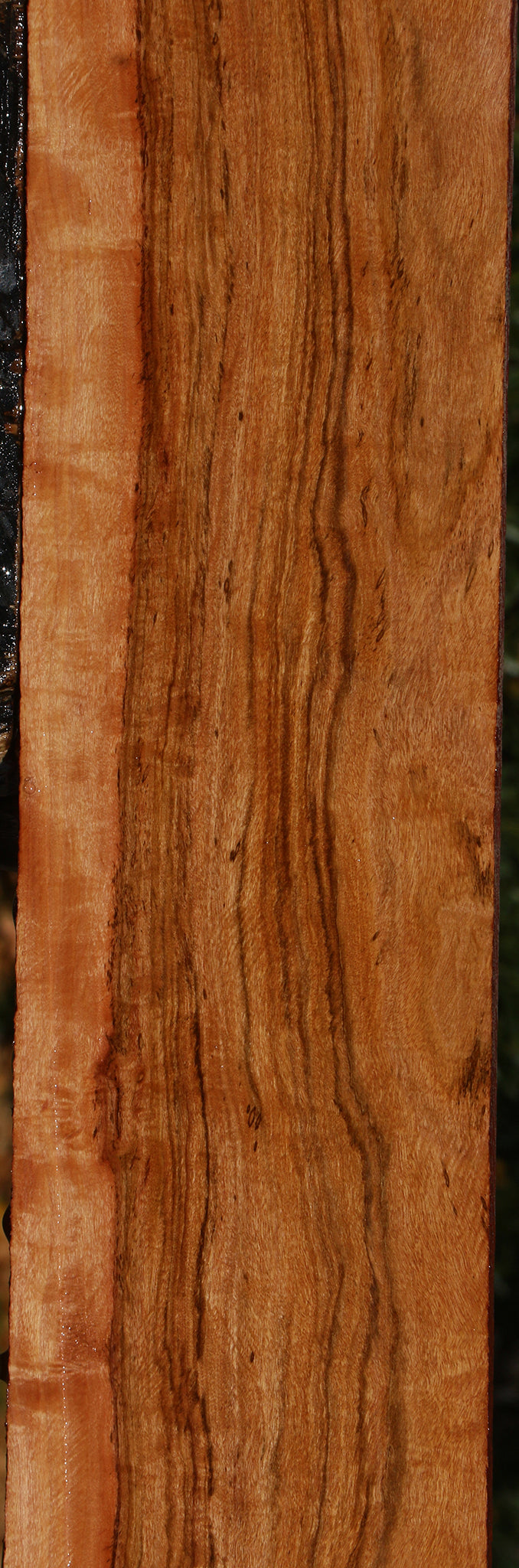 Extra Fancy Zambezi Teak Lumber