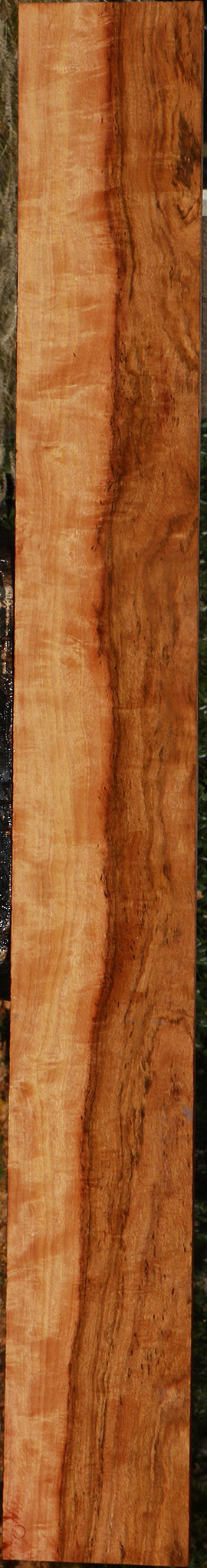 Extra Fancy Zambezi Teak Lumber