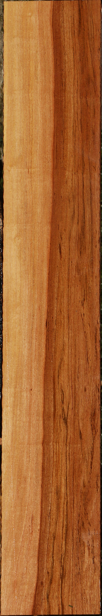 Zambezi Teak Lumber