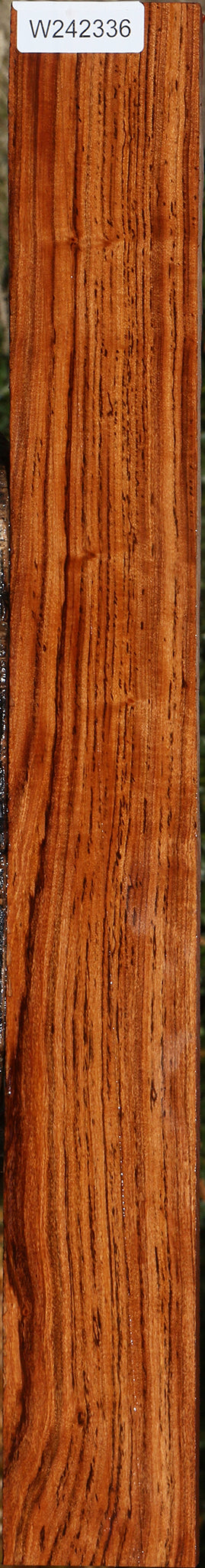 Zambezi Teak Lumber