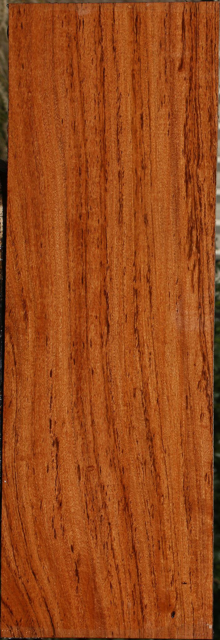 Figured Zambezi Teak Lumber