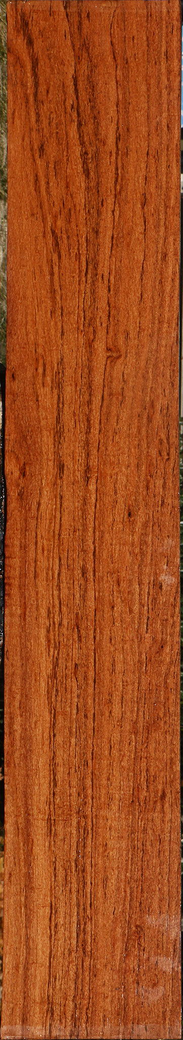 Zambezi Teak Lumber