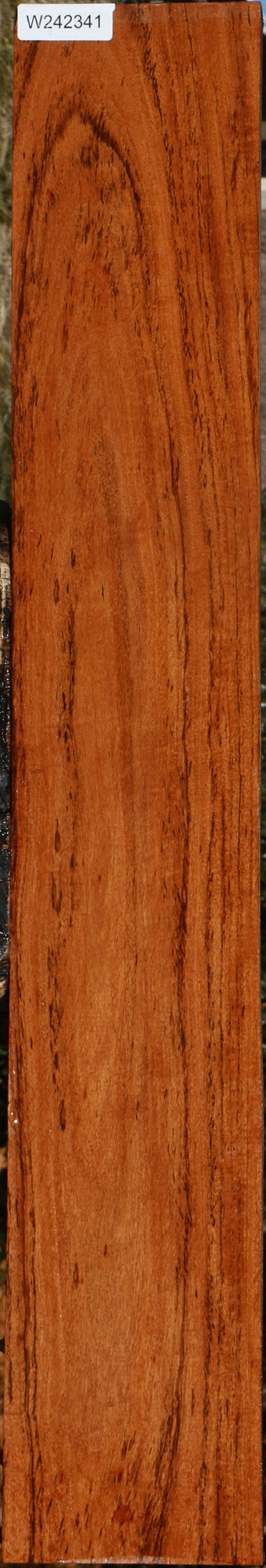 Zambezi Teak Lumber