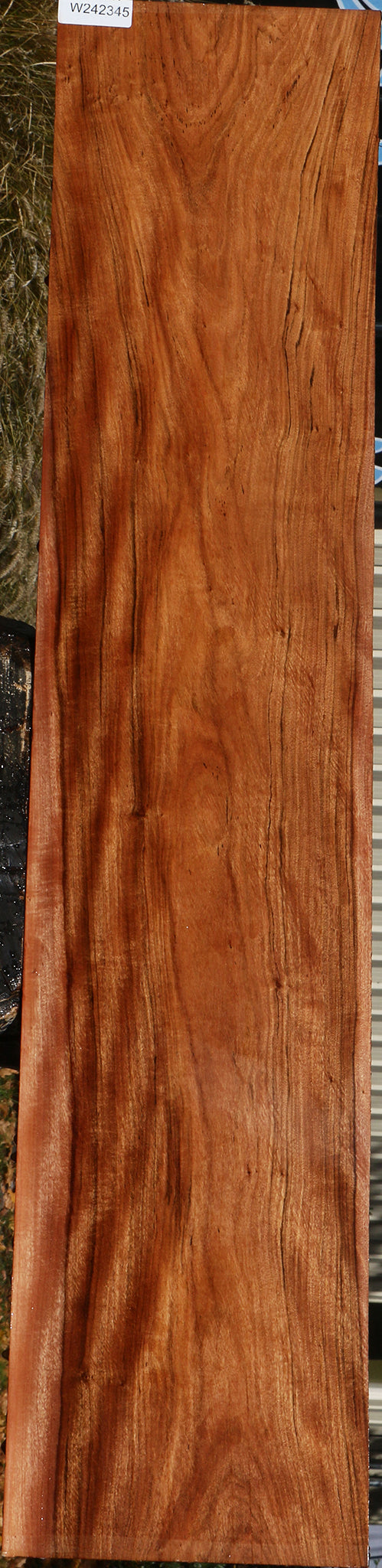 Figured Zambezi Teak Lumber