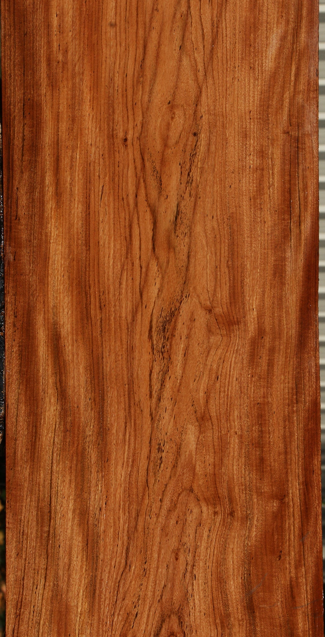 Figured Zambezi Teak Lumber