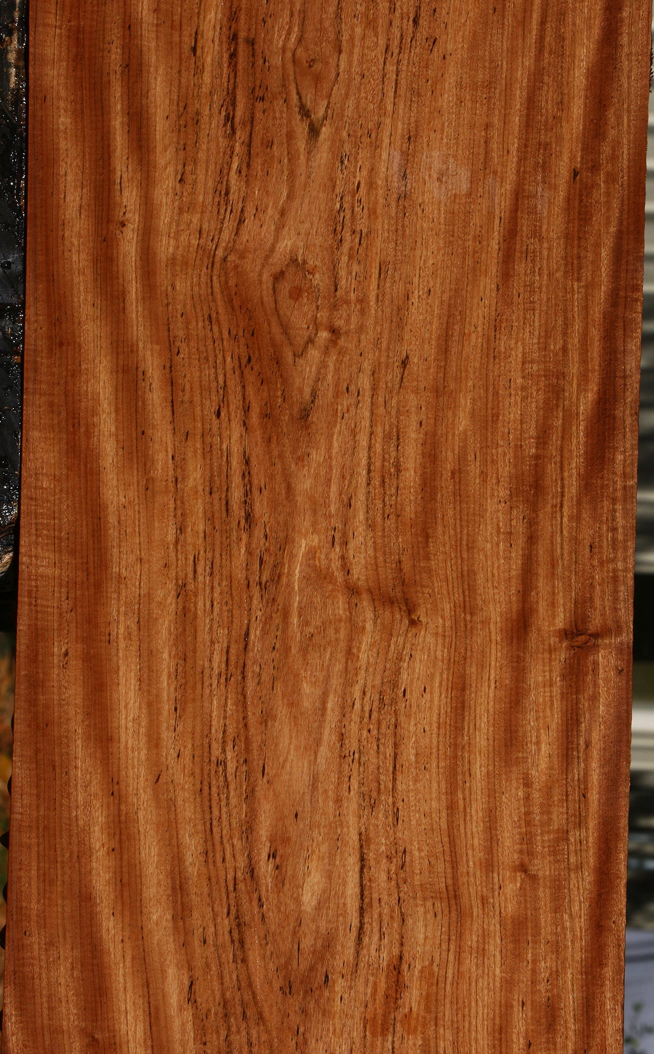 Extra Fancy Zambezi Teak Lumber