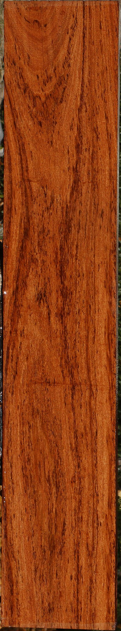 Zambezi Teak Lumber