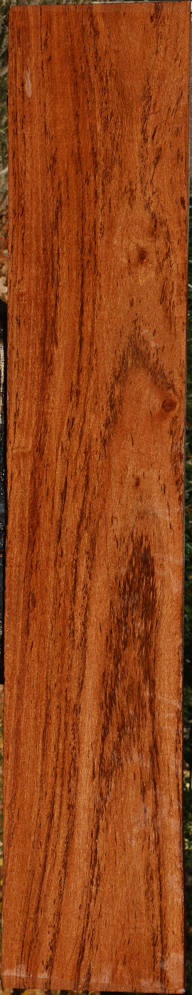 Zambezi Teak Lumber