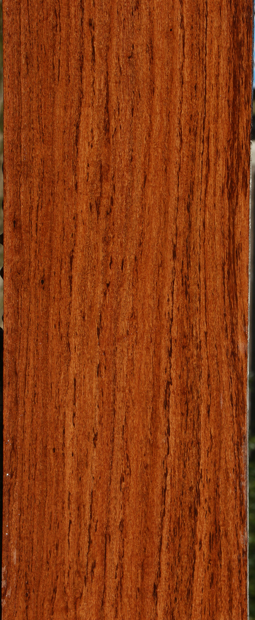Figured Zambezi Teak Lumber