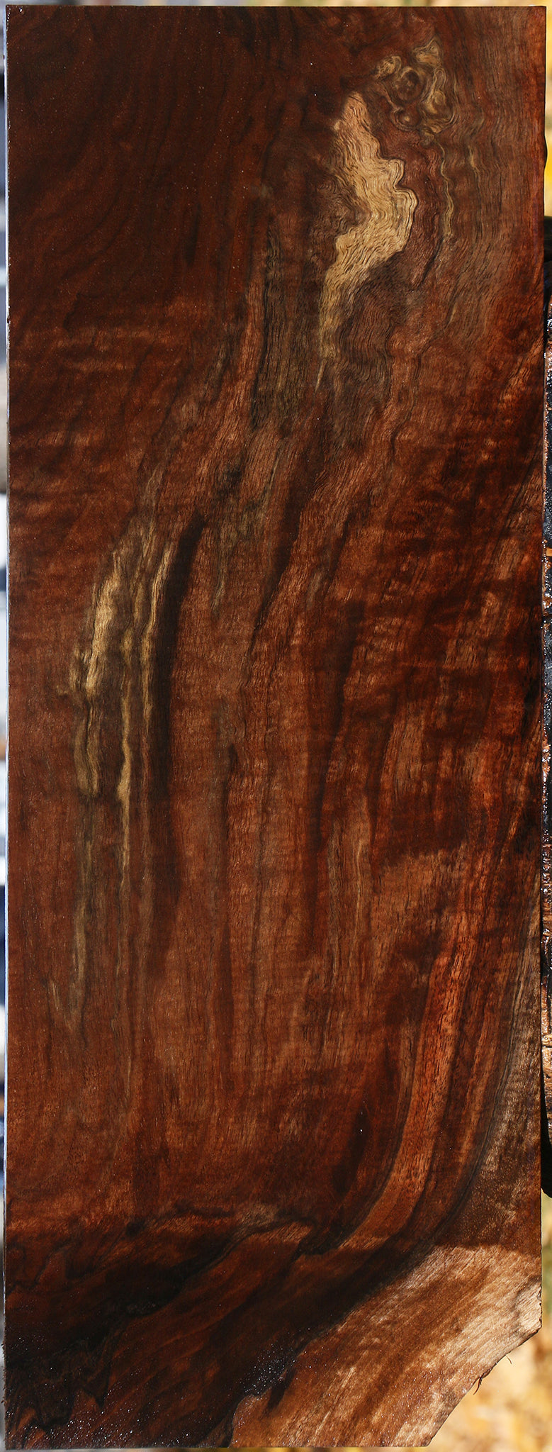 Walnut Claro Cook Woods