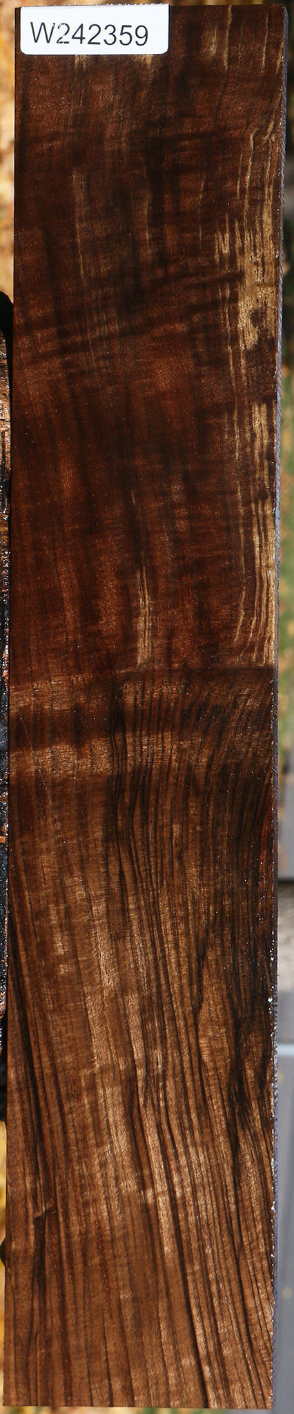 Figured Grafted English/Claro Walnut Lumber