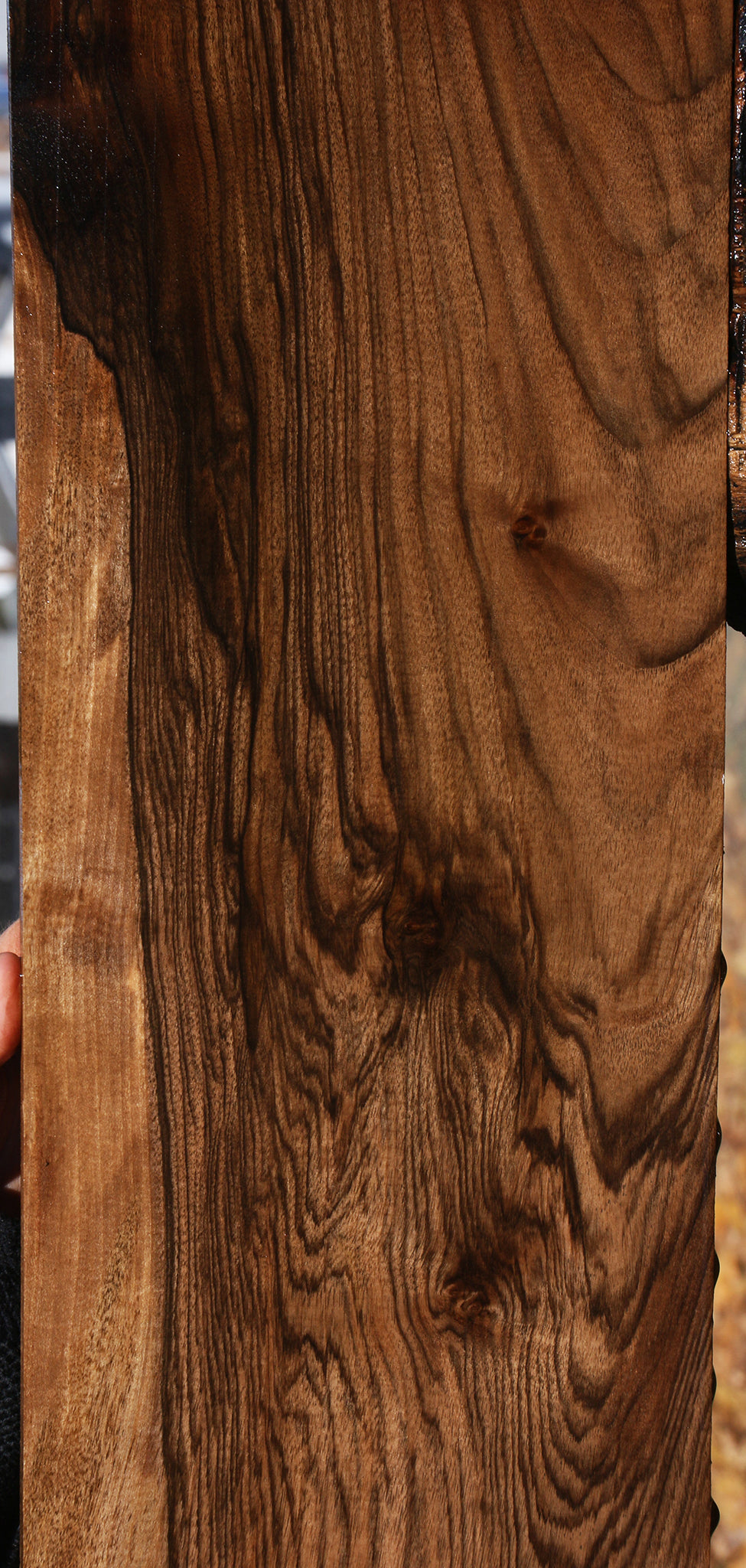 Extra Fancy Grafted English/Claro Walnut Lumber