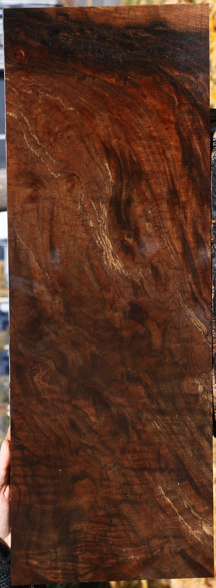 Extra Fancy Grafted Claro/English Walnut Instrument Lumber